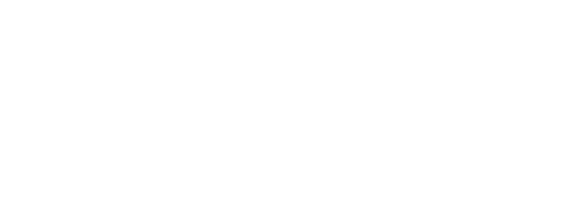 LavX Managed Systems Logo